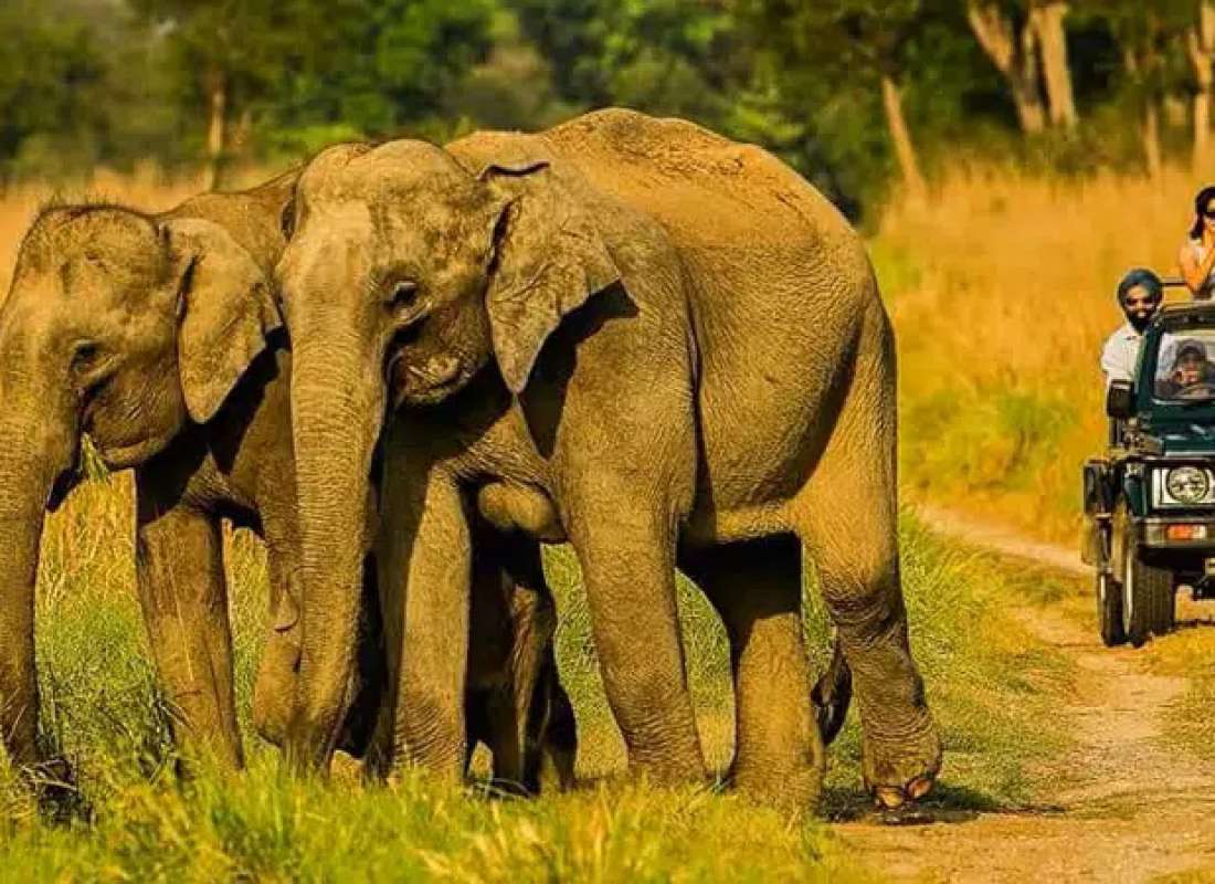 Nainital Corbett Tour Packages